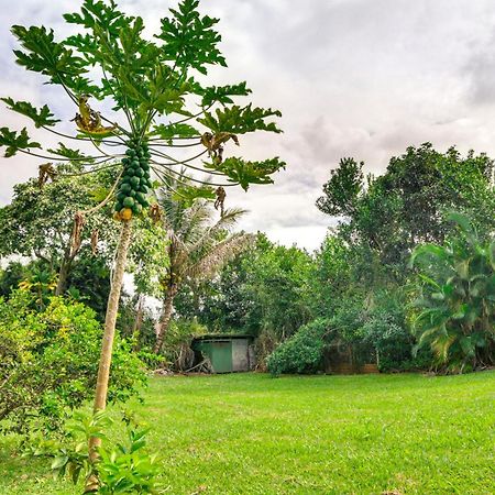 Charming Historic Hilo House Minutes To Beach! Екстер'єр фото