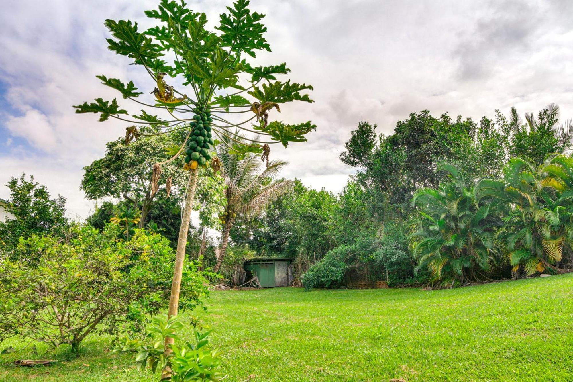 Charming Historic Hilo House Minutes To Beach! Екстер'єр фото